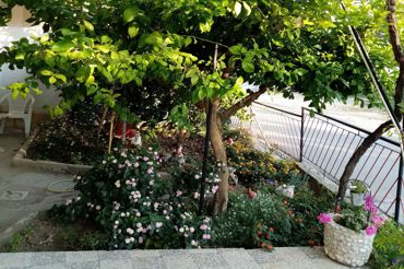 garden, apartments Peric Marija in Lopar